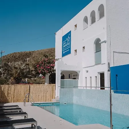 Gaviotas Del Cabo San José